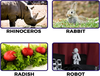 Snapshot Rhinoceros Rabbit Radish Robot Image